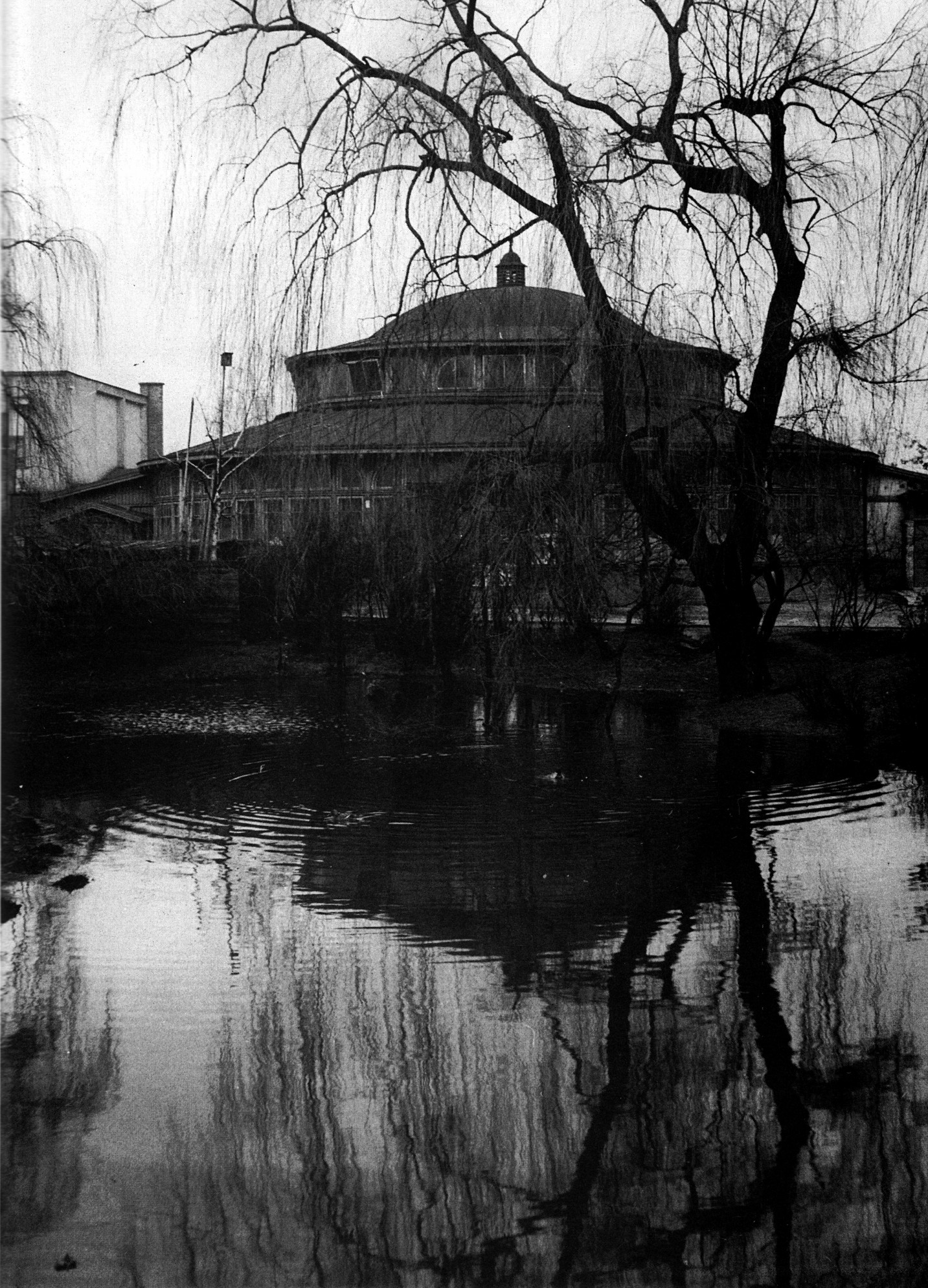 Tělocvična - vinohradská sokolovna č.p. 2400, Polská čp. 2400/1a