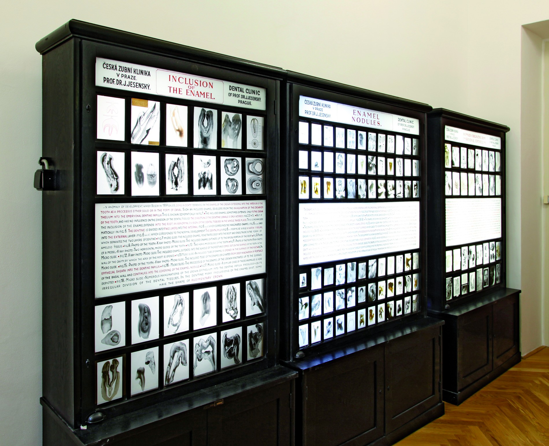 Zubní muzeum prof. Jesenského