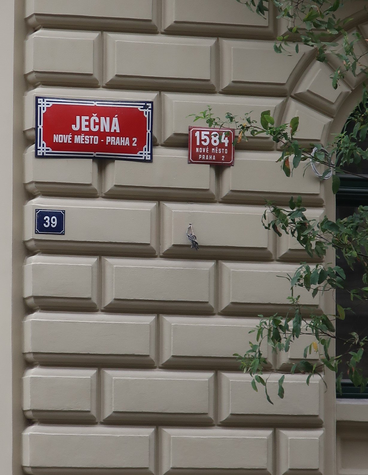 Nájemní dům Ječná čp. 1584/39 V Tůních 2