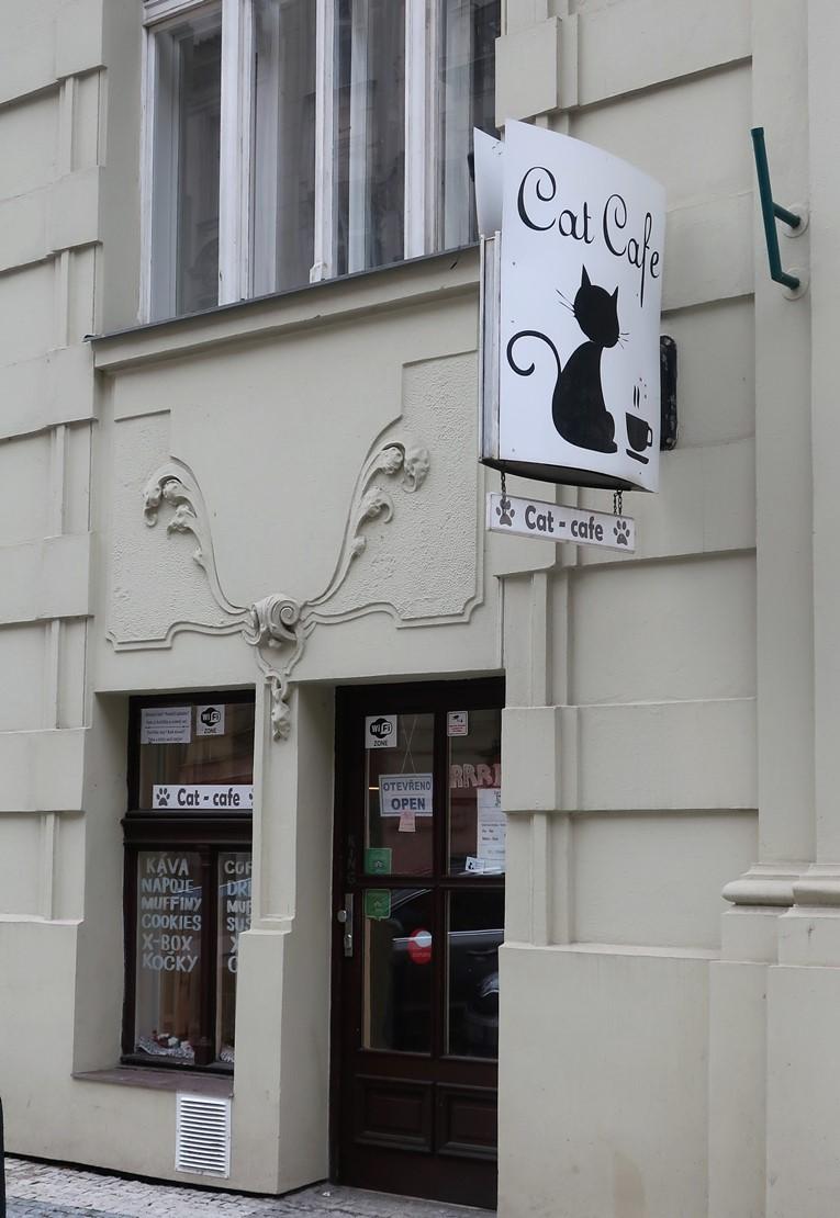Dům Gorazdova čp. 332/20