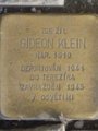 Gideon Klein, Rašínovo nábřeží 1696/66