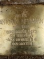 Antonín Neumann, Gorazdova čp. 335/14