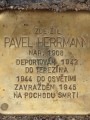 Pavel Herrmann, Plavecká čp. 403/8