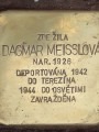 Dagmar Meisslová, Koperníkova čp. 2282/4