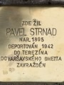 Pavel Strnad, Polská čp. 1098/6