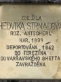 Hedvika Strnadová, Polská čp. 1098/6