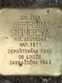 Gertruda Steinerová, Italská čp. 753/27