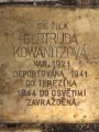 Gertruda Kowanitzová, Krkonošská čp. 1522/4