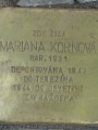 Mariana Kornová, Londýnská čp. 596/28