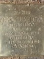 Anna Bunzlová, Lublaňská čp. 1867/43