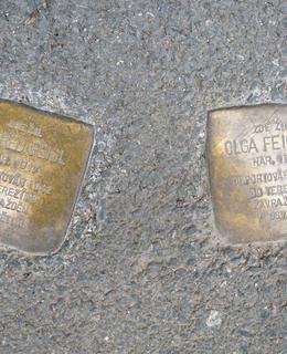 Dva kameny zmizelých Feiglových (foto Dagmar Broncová)