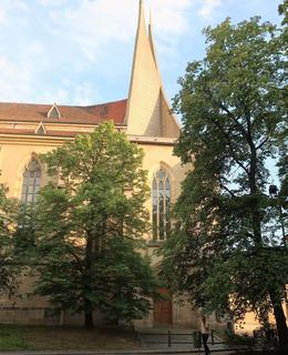 Lípy u kostela. Foto M. Polák, červen 2020