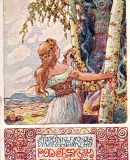 Ples V - Šibřinky Sokola vinohradského. Pohlednice 1914