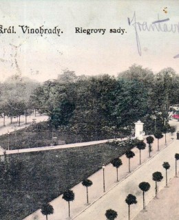 Riegrovy sady. Promenádní cesta, pohlednice, 1906. Zdroj: archiv M. Frankla
