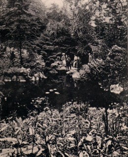 Grébovka V - Partie u jezírka. Pohlednice 1909. Zdroj: archiv autora