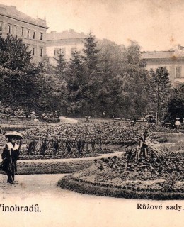 Růžové sady. Pohlednice, okolo 1905. Zdroj: archiv M. Frankla
