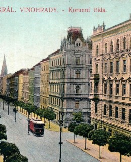 Stromořadí v Korunní třídě. Pohlednice, okolo 1910. Zdroj: archiv M. Frankla