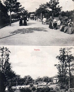 Promenáda v Riegrových sadech. Pohlednice, okolo 1910. Zdroj: archiv M. Frankla