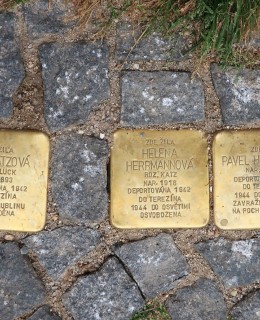 Kameny zmizelých před domem v Plavecké ulici 8 (Foto M. Polák, 2023)
