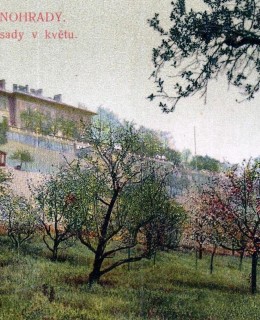 Havlíčkovy sady. Pohlednice, 1920. Zdroj: archiv M. Frankla