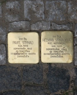 Kameny zmizelých manželů Strnadových dne 19. 6. 2024 (Foto M. Polák)