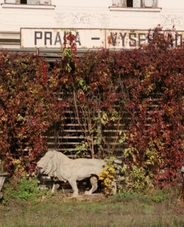 K. Novák: Lev (Foto Milan Polák, polovina 90. let minulého století)