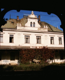 K. Novák: Lev (Foto Milan Polák, polovina 90. let minulého století)