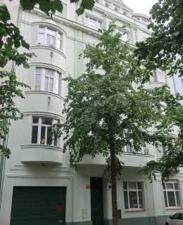 Dům v Chodské ulici 6 (Foto M. Polák, 2024)