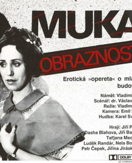 Román Muka obraznosti (zfilmováno 1989)