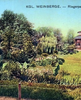 rotunda Pavillon s okolím, pohlednice kolem r. 1912