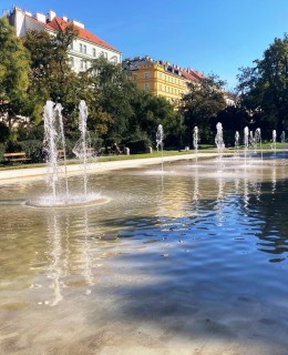 Deska s fonátnou a verši S. Čecha /Deska s fonátnou a verši S. Čecha (2022)