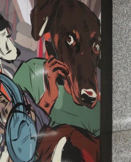 Detail ilustrace (Foto M. polák, 2025)