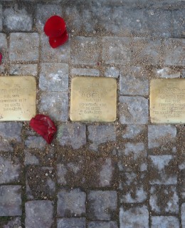 Kameny zmizelých před vchodem do domu Na Smětance 14 (Foto M. Polák)