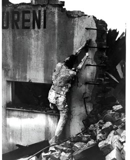 Most, enviromentální akce ve vybydleném městě, 1981