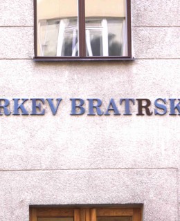 bor Církve bratrské. Foto: P. Líbal