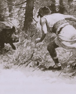 Bivoj na ilustraci Věnceslava Černého