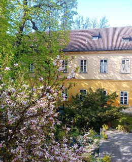Vnitřní část areálu Neurologické kliniky v Kateřinské ul. 30 Vnitřní část areálu Neurologické kliniky v Kateřinské ul. 30