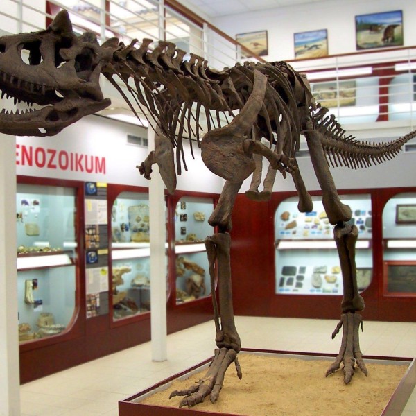 Chlupáčovo muzeum historie Země, PřF UK