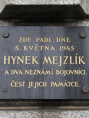 Hynek Mejzlík (autor fotografie: Milan Polák)