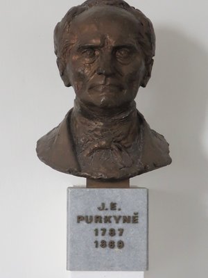 Busta J. E. Purkyně (Foto M. Polák, prosinec 2020)