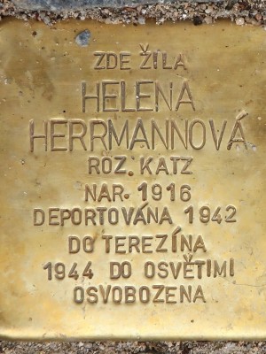 Kámen zmizelých Heleny Herrmannové (Foto M. Polák, 2023)