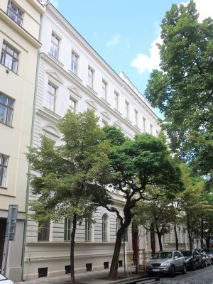 Škola skrytá  v bujném stromořadí Belgické ulice (Foto M. Polák, 2023)
