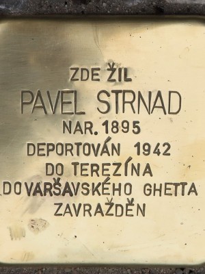 Kámen zmizelých Pavla Strnada (Foto M. Polák, 19. června 2024)