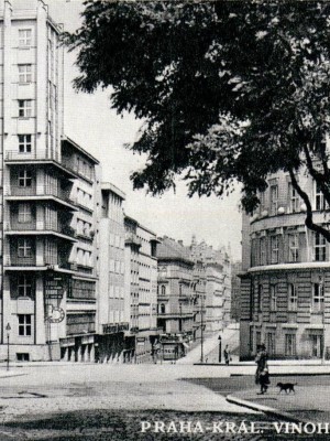 Novostavby, západní část Seidlova pole