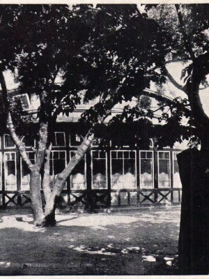 Rotunda - tělocvična v Riegrových sadech, dobová pohlednice