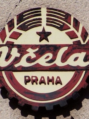 Včela, zdroj: wikipedie